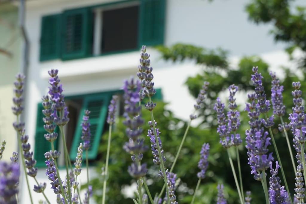 Mala Venecija House *